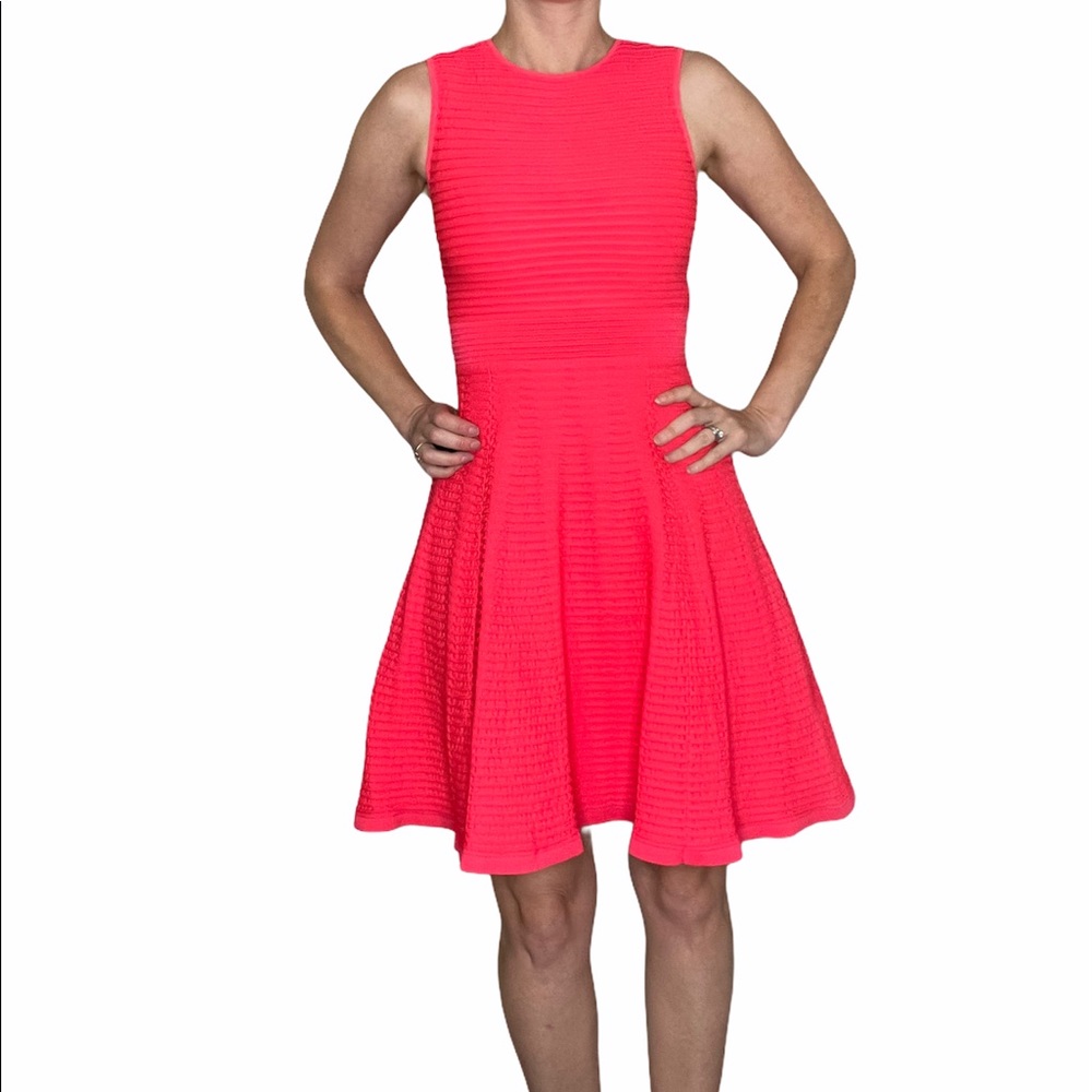 Ted Baker Malou Dress EUC